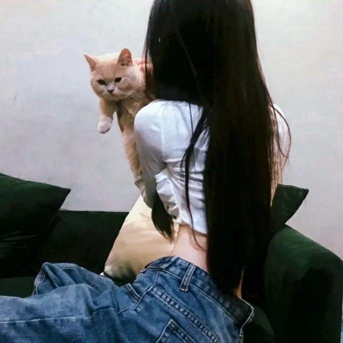 树篱女巫