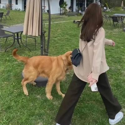 陌生人:第二章